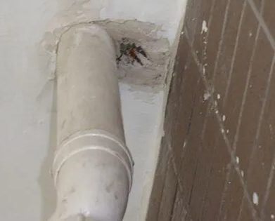 科尔沁左翼中漏水检测哪家好